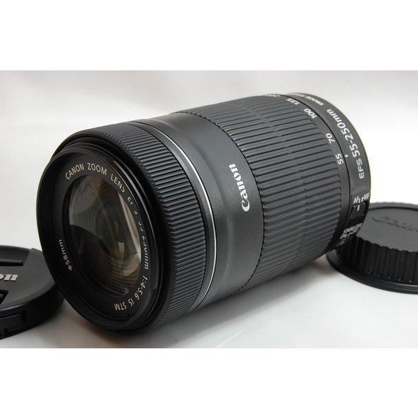 完動品/返品保証】Canon EF-S 55-250mm IS STM 望遠