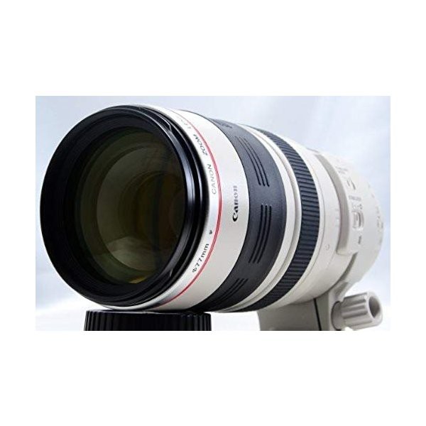 キヤノン Canon 望遠ズームレンズ EF100-400mm F4.5-5.6L IS USM フルサイズ対応 即納大特価 