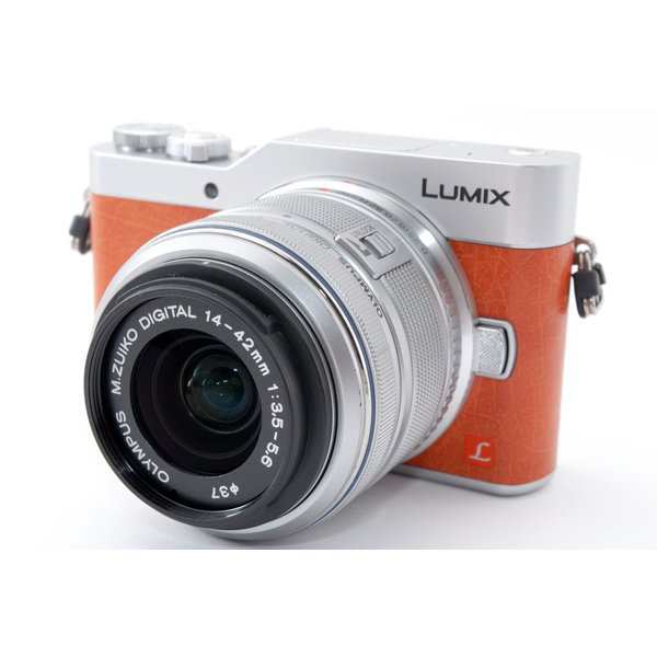 自撮り LUMIX G DC-GF9 超美品 - ミラーレス一眼