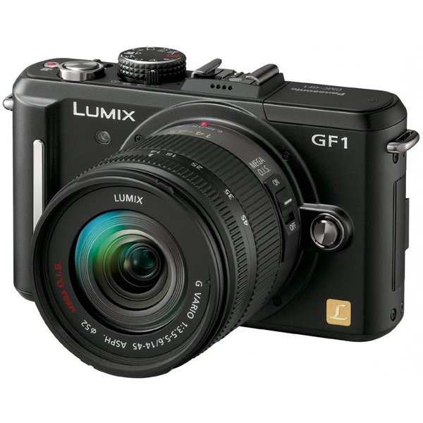 非対面買い物 パナソニック Panasonic GF1 レンズキット エスプリ