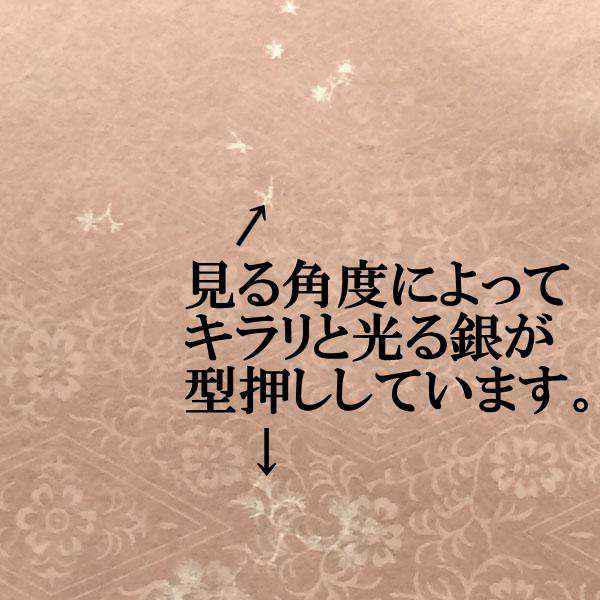 色画仙紙 純雁皮 全紙 1色×10枚 かな用 【加工】 染 二重型押し(片方銀色) 514AAH