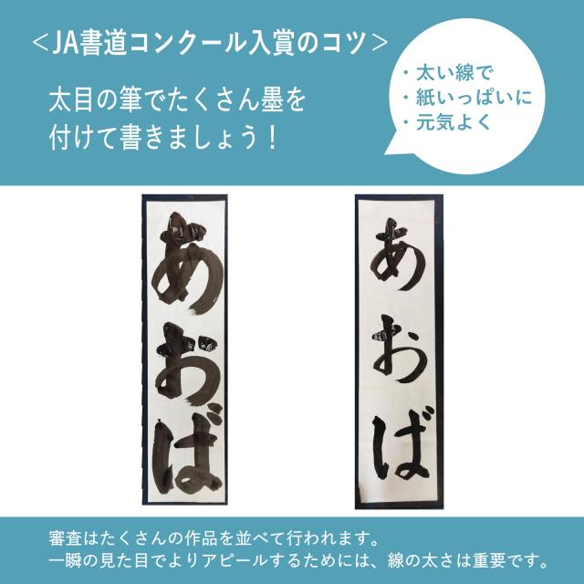 書道 書道紙 条幅紙 画仙紙 野菊 条幅紙 半切 1反100枚 漢字用 特厚口
