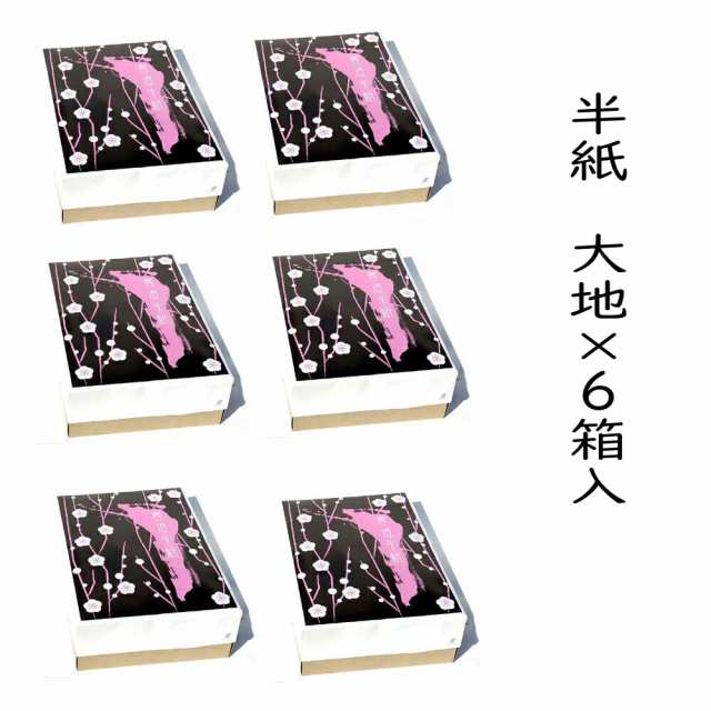 【ポイント20倍】 書道 半紙 大地 1000枚×6箱セット 漢字用 機械漉き 自然色 厚口 | 書道用品 書道用紙 書道半紙 書道セット 習字 教室