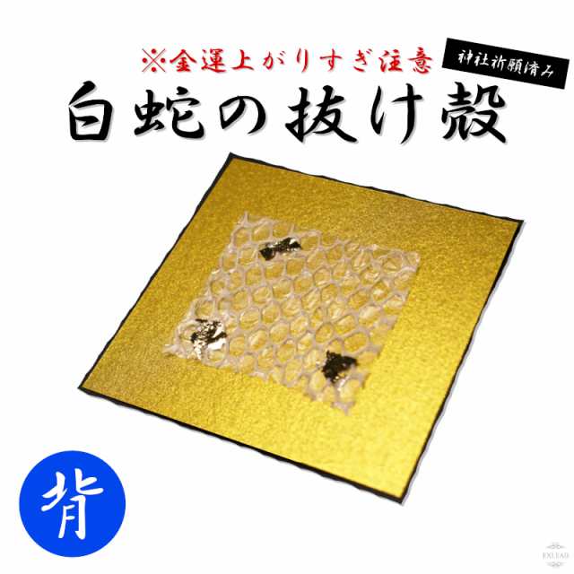 白蛇 背部 抜け殻 白ヘビ 開運 金運アップ 祈願済み 白へび 蛇 抜殻 縁起物 本物 宝くじ 金運 開運 お金 金 浄化 脱け殻 祈願 神社 財布  の通販はau PAY マーケット - EXLEAD JAPAN