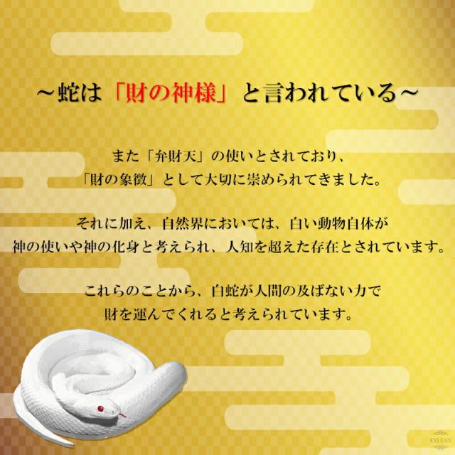 1/1天赦日完成✨百円札✨蛇の頭部✨打出の小槌✨白蛇のお守り 1/1天赦日完成✨百円札✨蛇の頭部✨打出の小槌✨白蛇のお守り