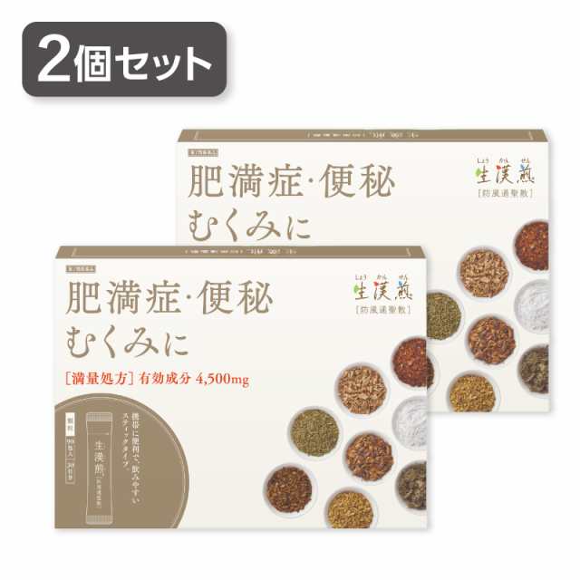 【第2類医薬品】2個セット 生漢煎 防風通聖散 満量処方 (90包入 30日分）セルフメディケーション税制対象