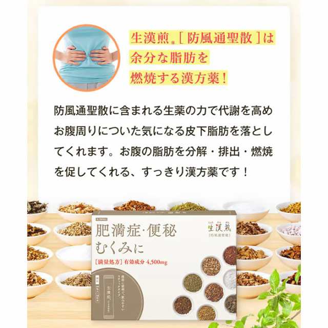 第2類医薬品】生漢煎 防風通聖散 満量処方 (90包入 30日分）セルフメディケーション税制対象の通販はau PAY マーケット - E!Choice  au PAY マーケット店 | au PAY マーケット－通販サイト