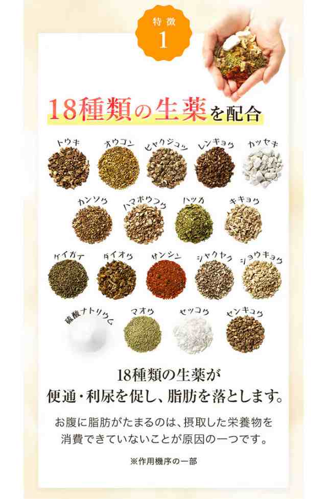 第2類医薬品】生漢煎 防風通聖散 満量処方 (90包入 30日分）セルフメディケーション税制対象の通販はau PAY マーケット - E!Choice  au PAY マーケット店 | au PAY マーケット－通販サイト