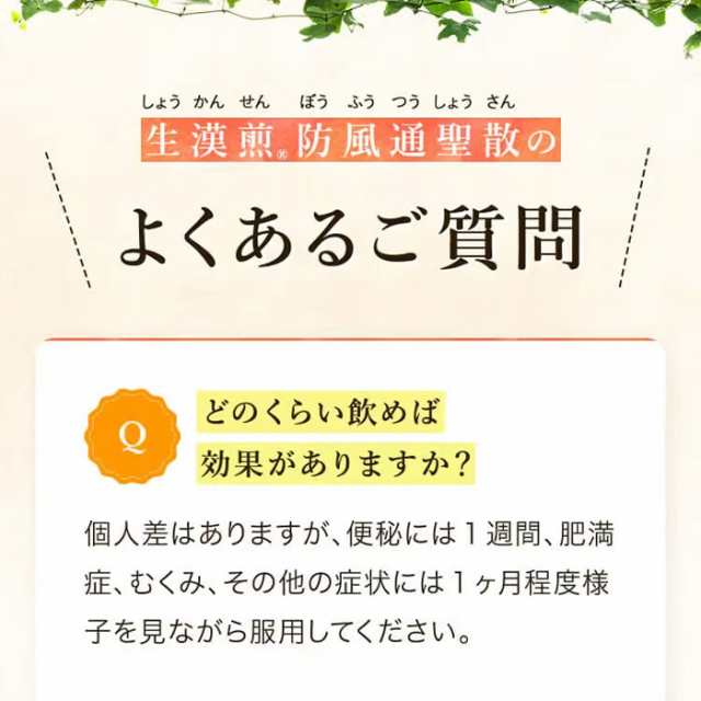 第2類医薬品】生漢煎 防風通聖散 満量処方 (90包入 30日分）セルフメディケーション税制対象の通販はau PAY マーケット - E!Choice  au PAY マーケット店 | au PAY マーケット－通販サイト