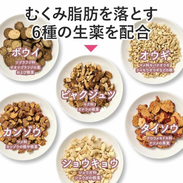【第2類医薬品】3個セット 生漢煎 防已黄耆湯錠SX (180錠入り 15日分） 漢方 肥満症 むくみ 水太り 防已黄耆湯 防己黄耆湯_4