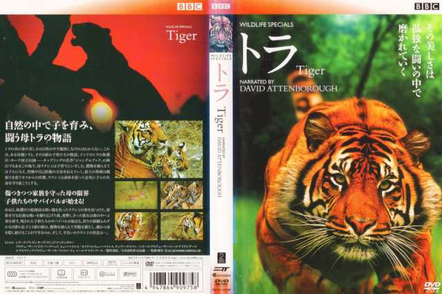 WILDLIFE SPECIAL トラ／Tiger BBC｜中古DVD