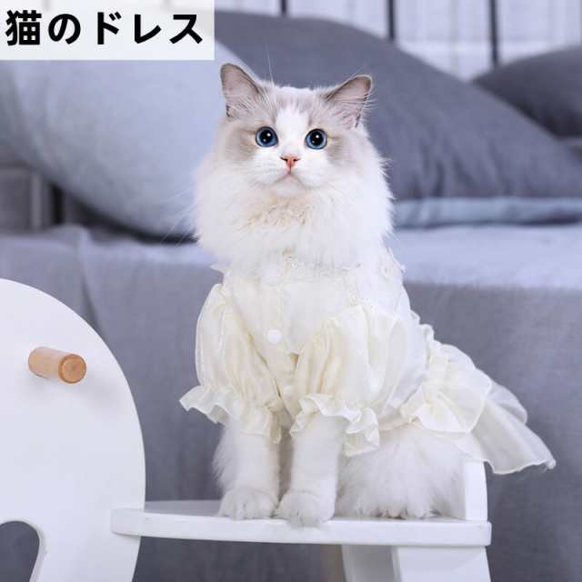 バーゲン☆30％OFF 猫 ドレス ワンピース レース 女の子 猫服 レース