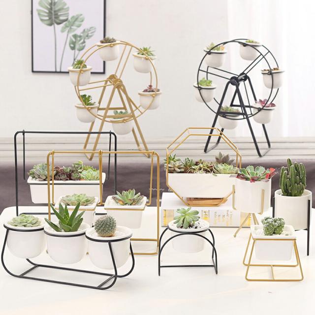 3❤︎可愛い1寸鉢❤︎多肉植物❤︎ミニ寄せ植え❤︎そのまま