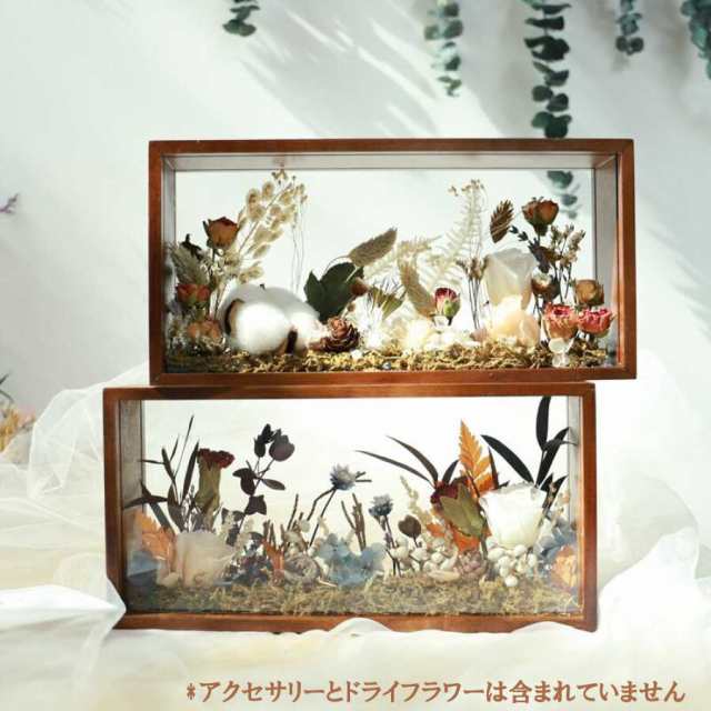 errer 植物標本 C アート ポスター ドライフラワー