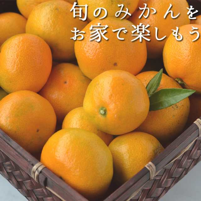 みかん 10kg（箱込約10kg）和歌山県産 訳あり・ご家庭用 送料無料（東北・北海道・沖縄県除く）の通販はau PAY マーケット - くすのき堂