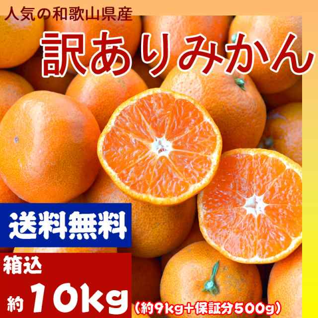 みかん 10kg（箱込約10kg）和歌山県産 訳あり・ご家庭用 送料無料（東北・北海道・沖縄県除く）の通販はau PAY マーケット - くすのき堂