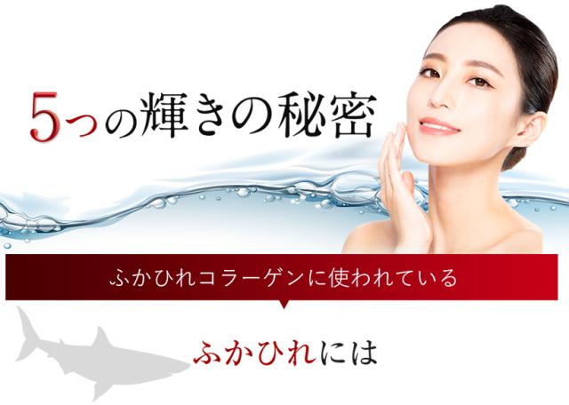 コラーゲン サプリメント 低分子 ペプチド コンドロイチン ヒアルロン酸 美容 ふかひれ抽出エキス 真珠パウダー / ふかひれコラーゲン本真珠＋ [2個セット]_7