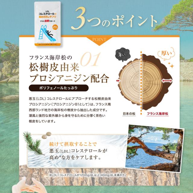悪玉コレステロール 総コレステロール レムナント 機能性表示食品 プロシアニジン / LDLコレステロールが高めの方のサプリ　プラス血管サポート[2個セット]_6