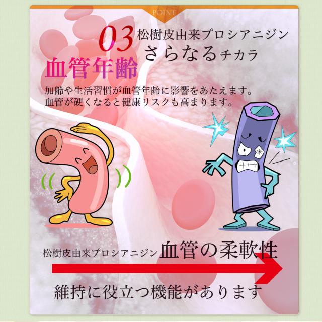 悪玉コレステロール 総コレステロール レムナント 機能性表示食品 プロシアニジン / LDLコレステロールが高めの方のサプリ　プラス血管サポート[2個セット]_8