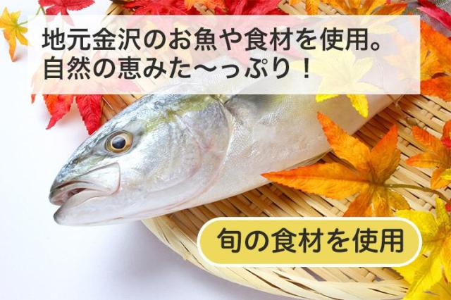 国産 無添加 シェフドッグ パピー 20kg ドッグフード【CFD】送料無料_2