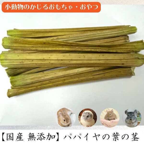 小動物のおもちゃ・おやつ 国産 無添加 パパイヤの葉の茎【5本