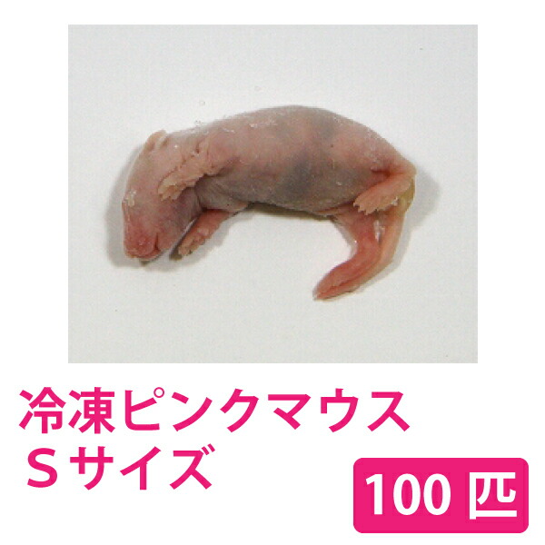 送料無料　冷凍ピンクマウスS100匹 冷凍☆富城 ピンクマウスS（10匹） ×5（約2．5cm） 冷凍マウス