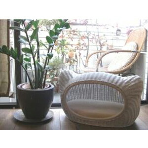 【PET】【株式会社シンシアジャパン】ラタンキティハウス【ソリッドホワイト】 JAN:4988269700502【W】の通販は