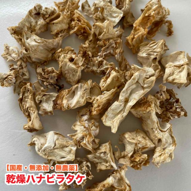 犬 ペット用サプリ 国産 無添加 乾燥ハナビラタケ【100g】 無 犬 ペット用サプリ 国産 無添加 乾燥ハナビラタケ【100g】 無