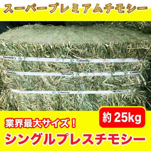 【業界最大サイズ！】 牧草 チモシー 【シングルプレス】 約25kg　(アメリカ産) 圧縮 スーパープレミアムチモシー 小動物 エサ 敷材 送