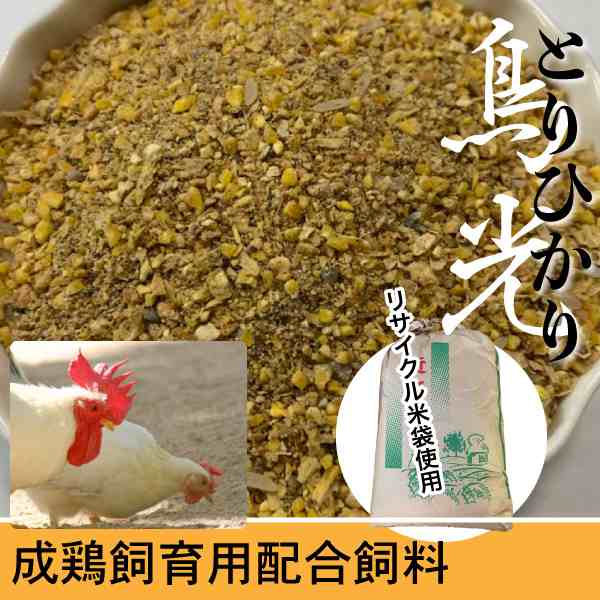 ニワトリの餌 500g - 鳥のエサ