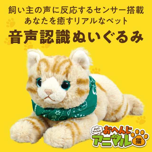 音声認識 ぬいぐるみ よんで！ だっこして！ おへんじアニマル 猫