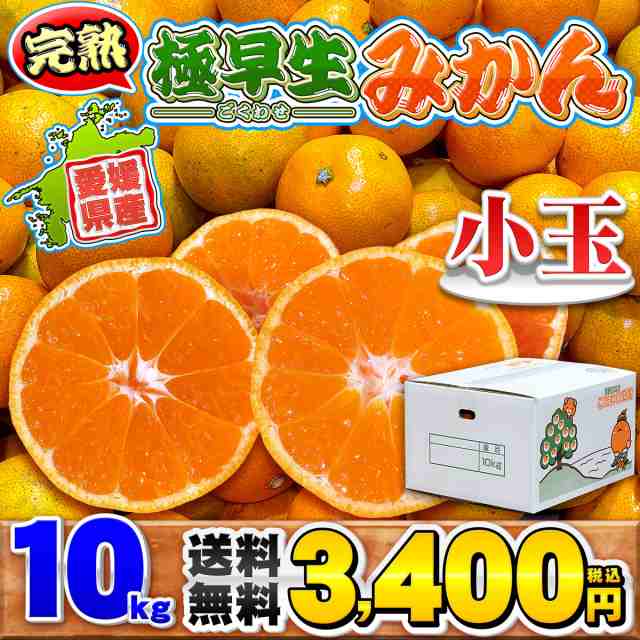 愛媛県産 極早生みかん 小玉サイズ 10kg 家庭用 訳あり 送料無料 箱