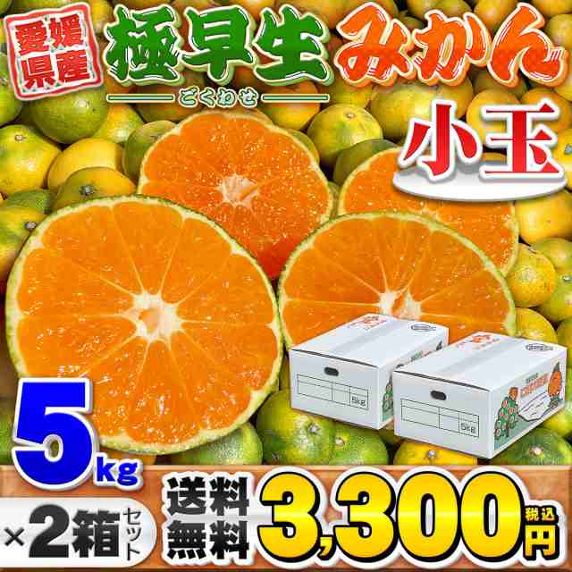 愛媛県産 極早生みかん 小玉サイズ 5kg×2箱セット 家庭用 訳あり 送料