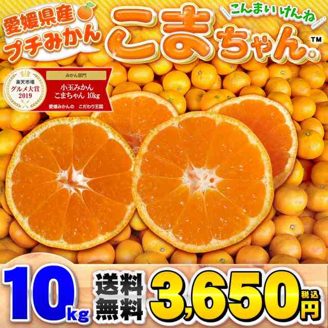 愛媛県産 南柑20号 みかん 10kg - 果物