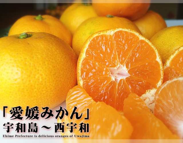 愛媛県産 小玉みかん こまちゃん 10kg 家庭用 訳あり 送料無料 箱買い 蜜柑 温州 早生 南柑 20号 10キロの通販はau PAY マーケット  - 愛媛みかんの こだわり王国