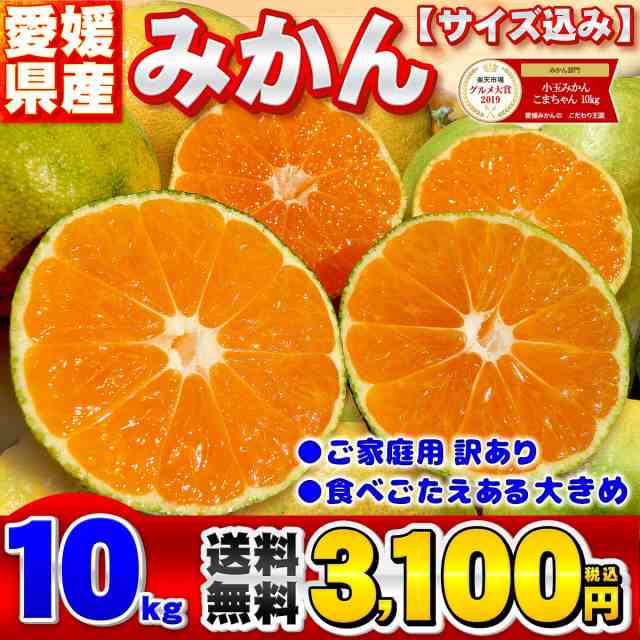 愛媛県産 訳ありみかん 大小サイズおまかせ 10kg こまちゃんと同品種 S～2Lサイズ混合 家庭用 送料無料 箱買い 蜜柑 温州 極早生 早生 南の通販はau  PAY マーケット - 愛媛みかんの こだわり王国