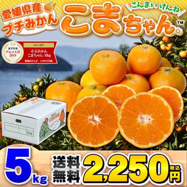 愛媛県産 小玉みかん こまちゃん 5kg 家庭用 訳あり 送料無料 箱買い 蜜柑 温州 早生 南柑20号 5キロの通販はau PAY マーケット -  愛媛みかんの こだわり王国