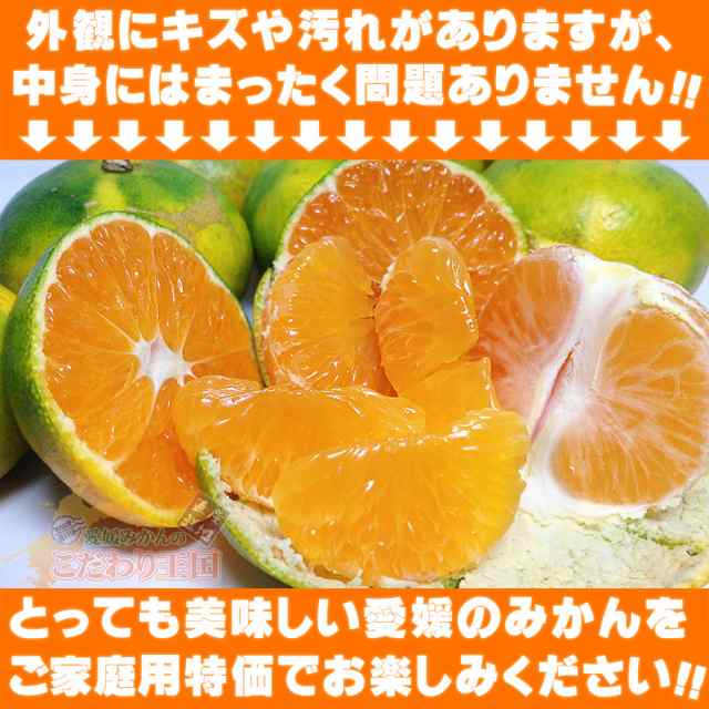 愛媛県産 訳ありみかん 大小サイズおまかせ 10kg こまちゃんと同品種 S～2Lサイズ混合 家庭用 送料無料 箱買い 蜜柑 温州 極早生 早生 南の通販はau  PAY マーケット - 愛媛みかんの こだわり王国