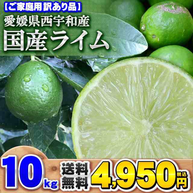 家庭用　10kg　PAY　愛媛県産　愛媛みかんの　au　PAY　こだわり王国　送料無料　サイズおまかせ　ライム　マーケット　10キロの通販はau　箱買い　訳あり　西宇和産　マーケット－通販サイト