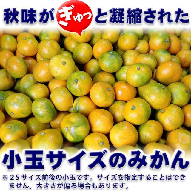 愛媛県産 極早生みかん 小玉サイズ 5kg×2箱セット 家庭用 訳あり 送料無料 箱買い 蜜柑 温州 10キロの通販はau PAY マーケット  愛媛みかんの こだわり王国 au PAY マーケット－通販サイト