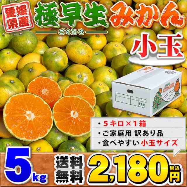 愛媛県産 極早生みかん 小玉サイズ 5kg 家庭用 訳あり 送料無料 箱買い 蜜柑 温州 5キロの通販はau PAY マーケット 愛媛みかんの  こだわり王国 au PAY マーケット－通販サイト