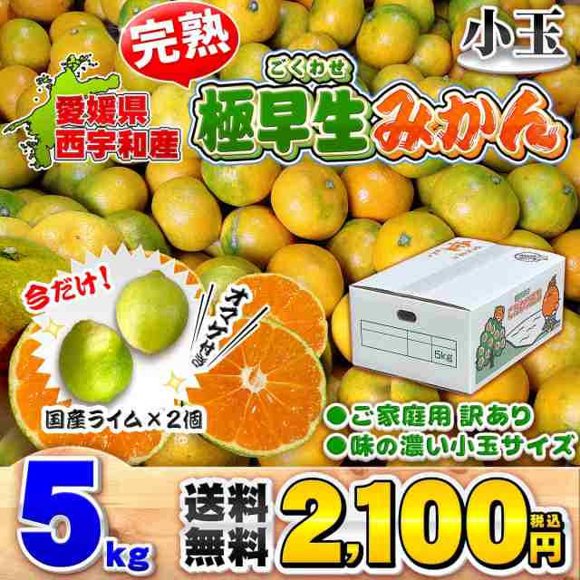 今だけライム2個付き】愛媛県産 完熟 極早生みかん 小玉サイズ 5kg 家庭用 訳あり 送料無料 箱買い 蜜柑 温州 5キロの通販はau PAY  マーケット - 愛媛みかんの こだわり王国