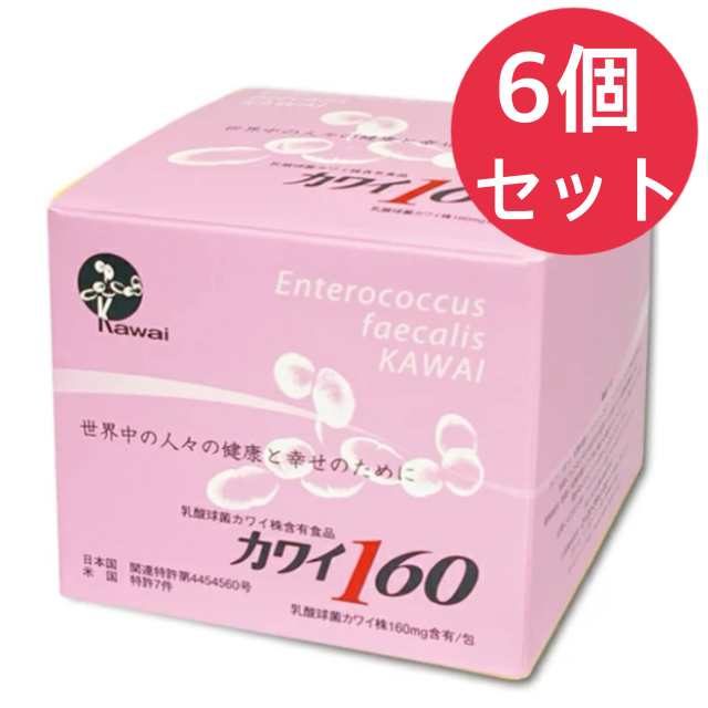 カワイ160 乳酸球菌カワイ株160ｍｇ含有食品 １００包入【6個セット】