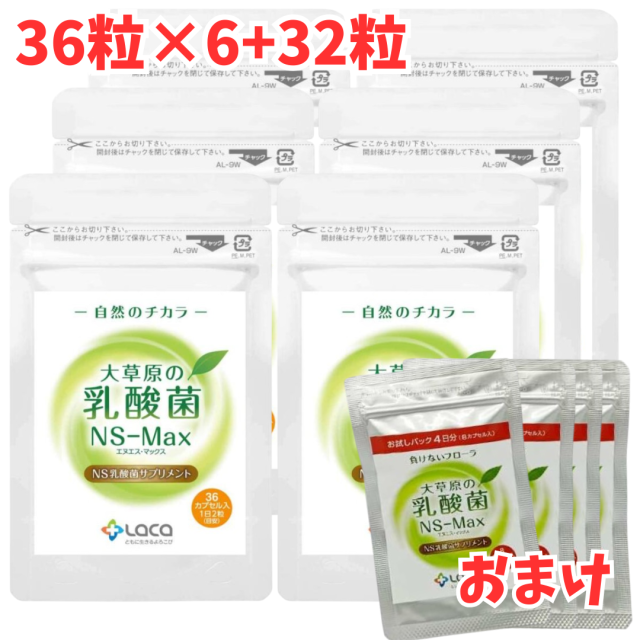 大草原の乳酸菌 NS-Max 36粒 6袋セット ＋[32粒 増量]