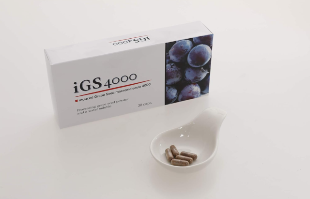iGS4000_2