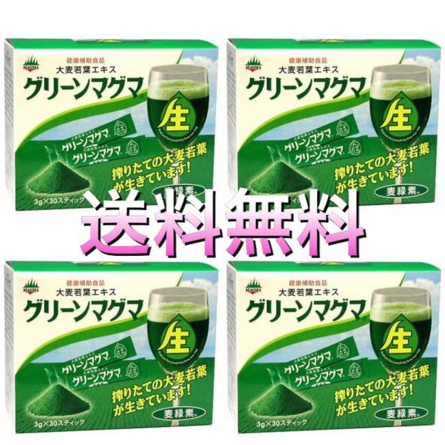 グリーンマグマ 30包×4個セット