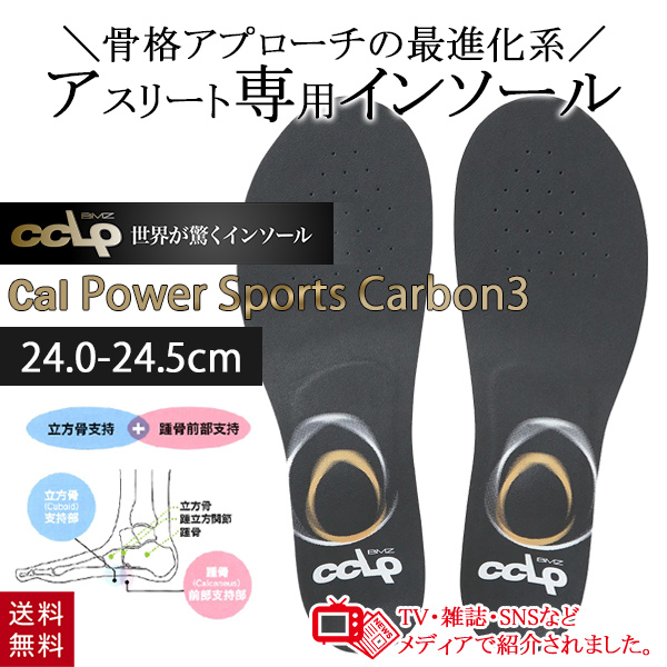 BMZ カルパワーカーボンプロ3 ダークグレー CAL POWER SMART CARBON PRO 3 Dark Gray インソール 中敷