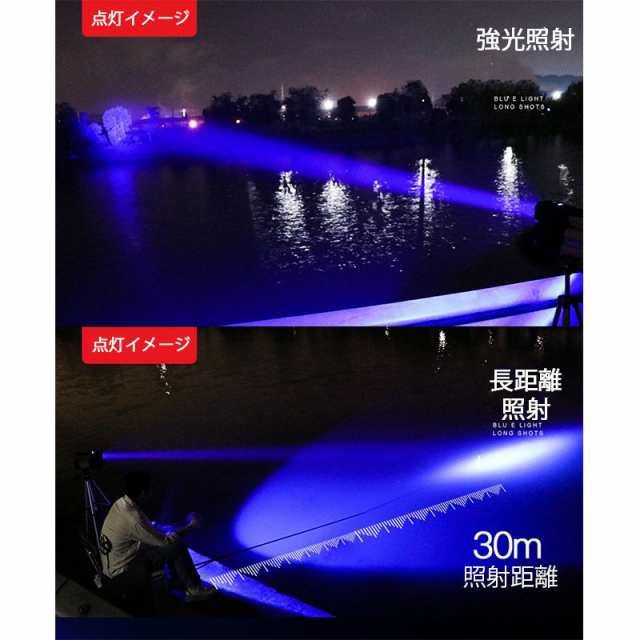 集魚灯 LED ブルーライト アジ タチウオ イサキ イカ 釣り 集魚ライト