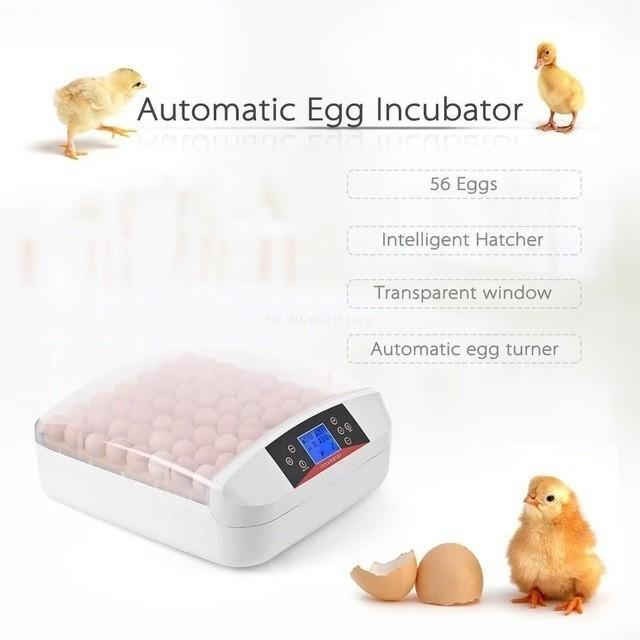鳥 LED 孵卵器 ふ卵器 孵化器 インキュベーター 最大56個 20-40℃ 爬虫類 カメ ブリードの通販は