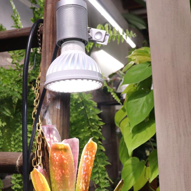 ホワイト　植物育成ライト　室内で育ちます　プランツネクストライト